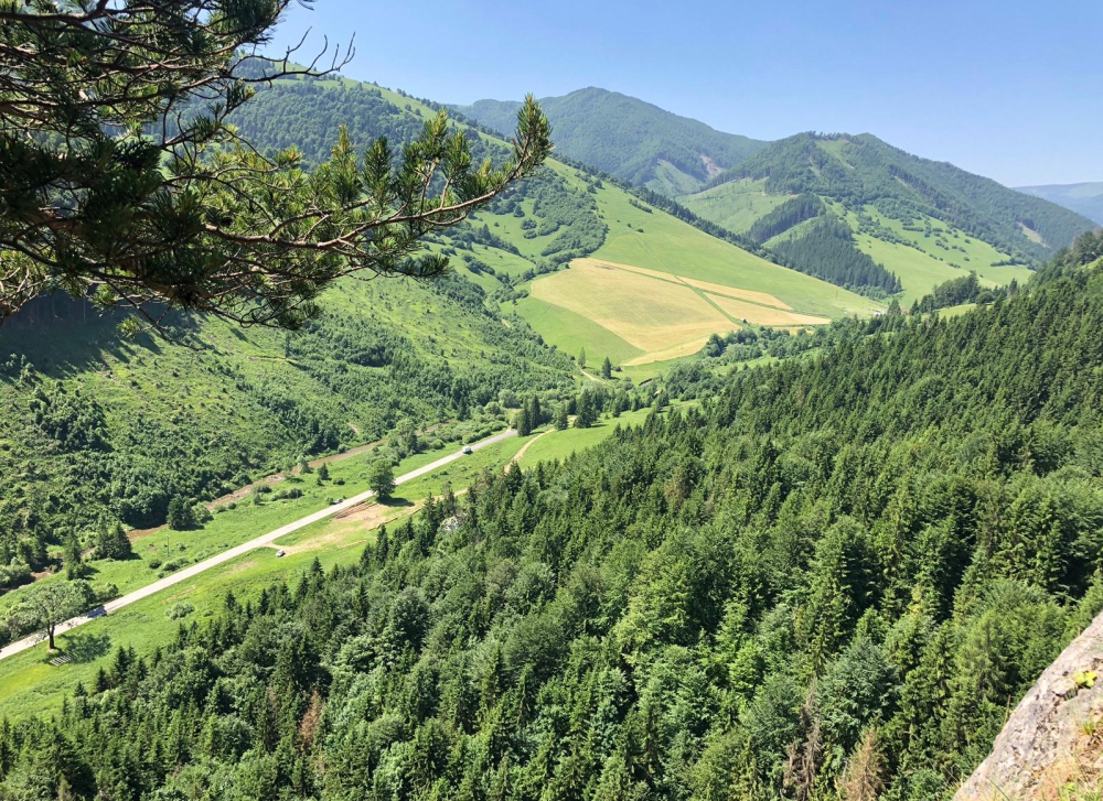 Source: gothal.sk Source: gothal.sk