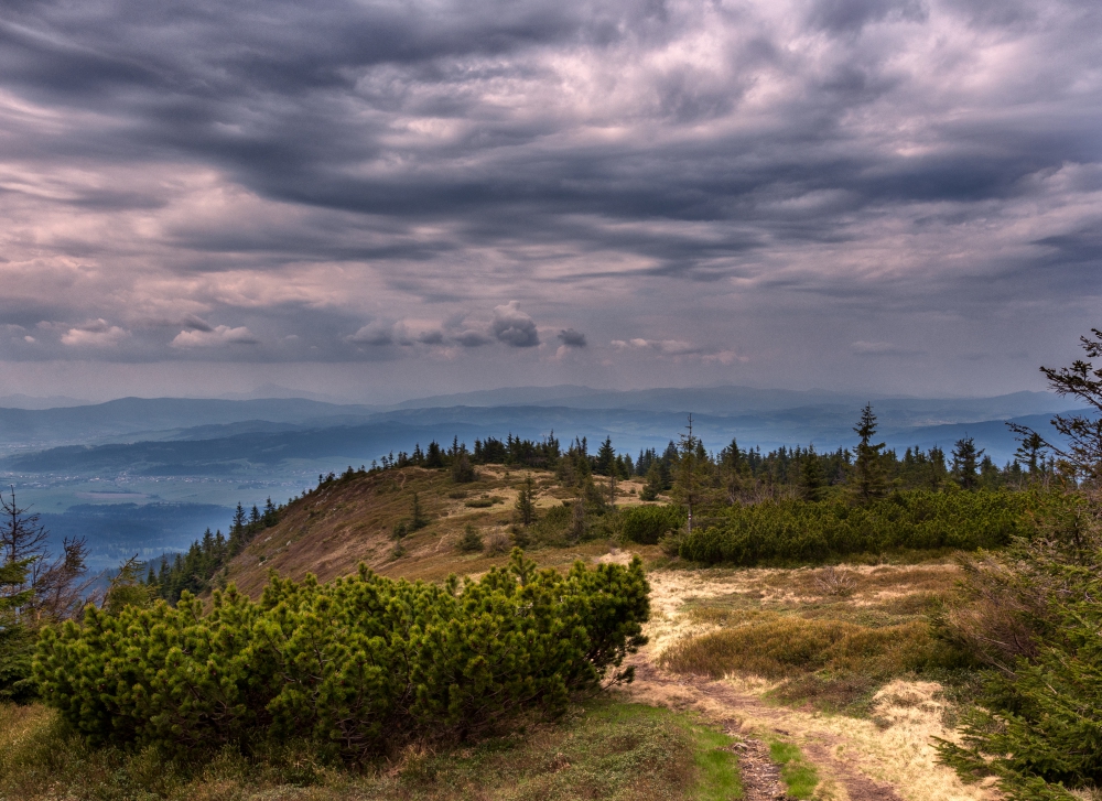 Fot. Joanna Popielarz.jpg