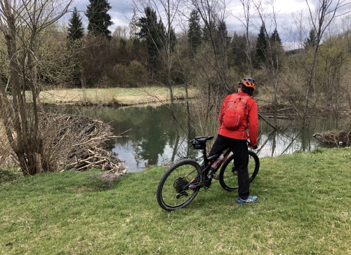 Bobrowiska ze spiętrzniami potoków Bobrowiska ze spiętrzniami potoków