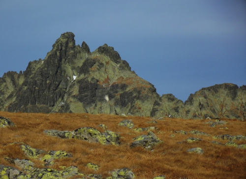 Żłobisty ze Stwolskiej Przełęczy Żłobisty ze Stwolskiej Przełęczy