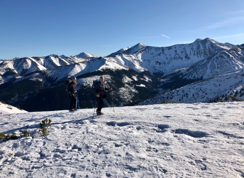 W drodze na Wołowiec