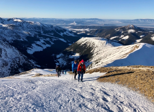 Wołowiec tuż tuż.