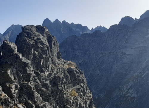 Panorama... Panorama...