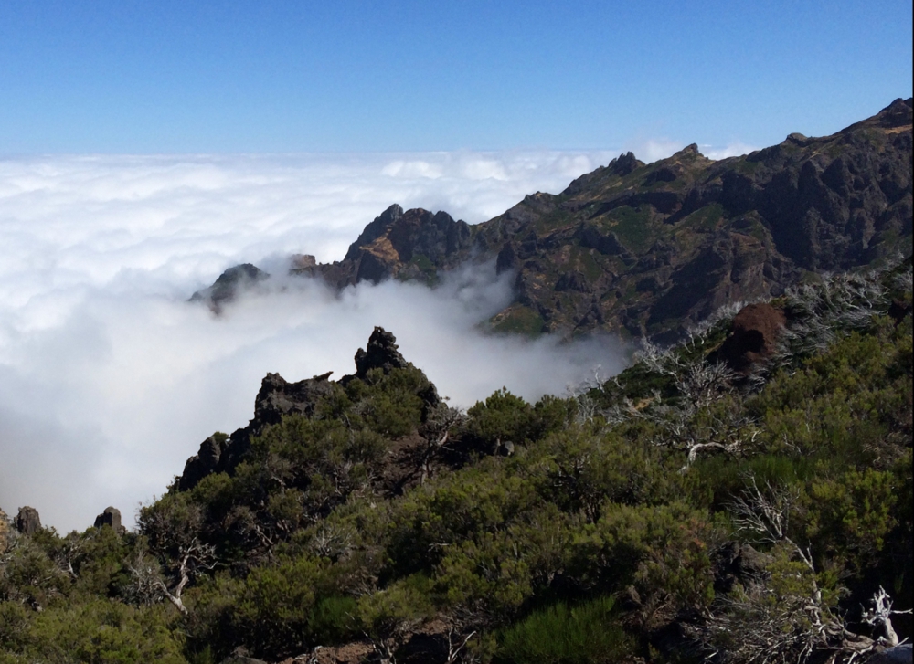 Madera - trekking na lekko