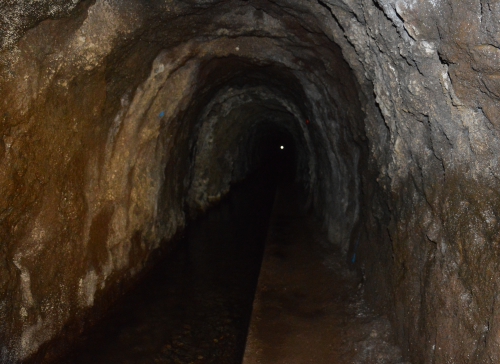 Madera - trekking na lekko