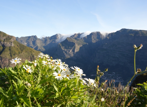 Madera - trekking na lekko