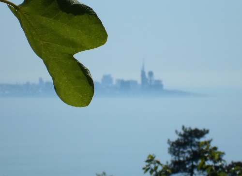 Zachodnia Gruzja - Góry, wino i morze