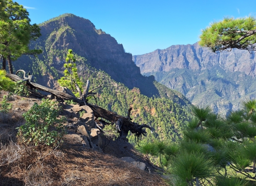 La Palma - La Isla Bonita - trekking La Palma - La Isla Bonita - trekking