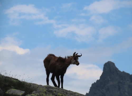 Zdjęcia z wycieczki Tatry poza szlakiem - Świstowy