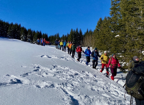 W dobrym towarzystwie na szlaku Na wycieczce zawsze można poza kogoś ciekawego