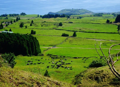 Sao MIguel-trekking-Azory