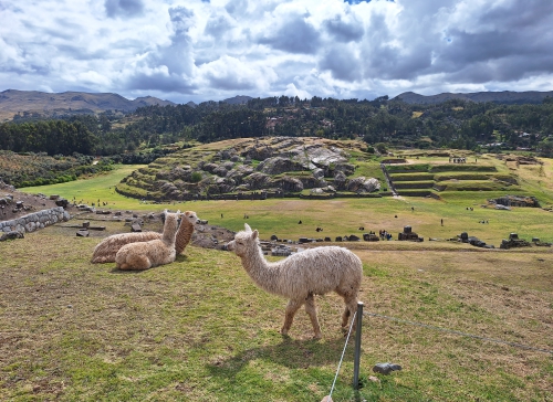 Andy_Peru_Machu_Picchu_i_Chachani