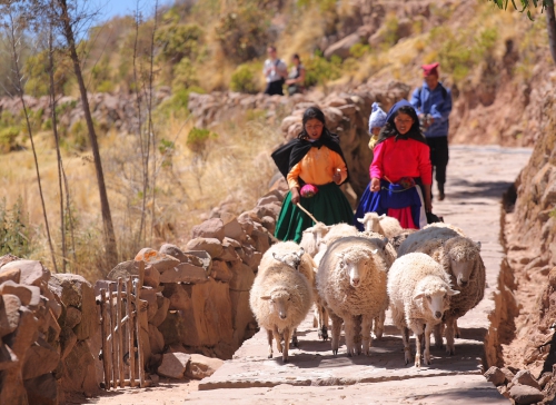 Andy_Peru_Machu_Picchu_i_Chachani