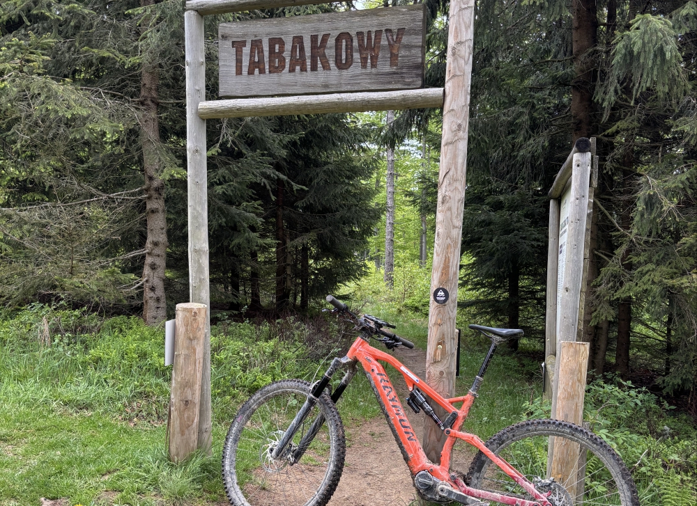 tabakowy