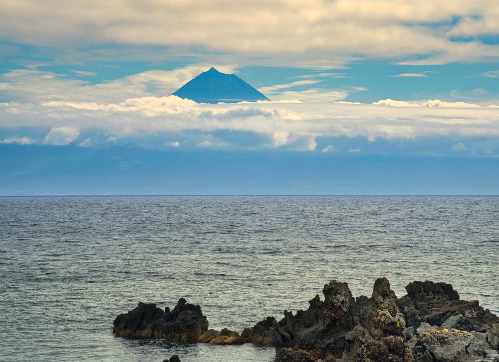 pico pico