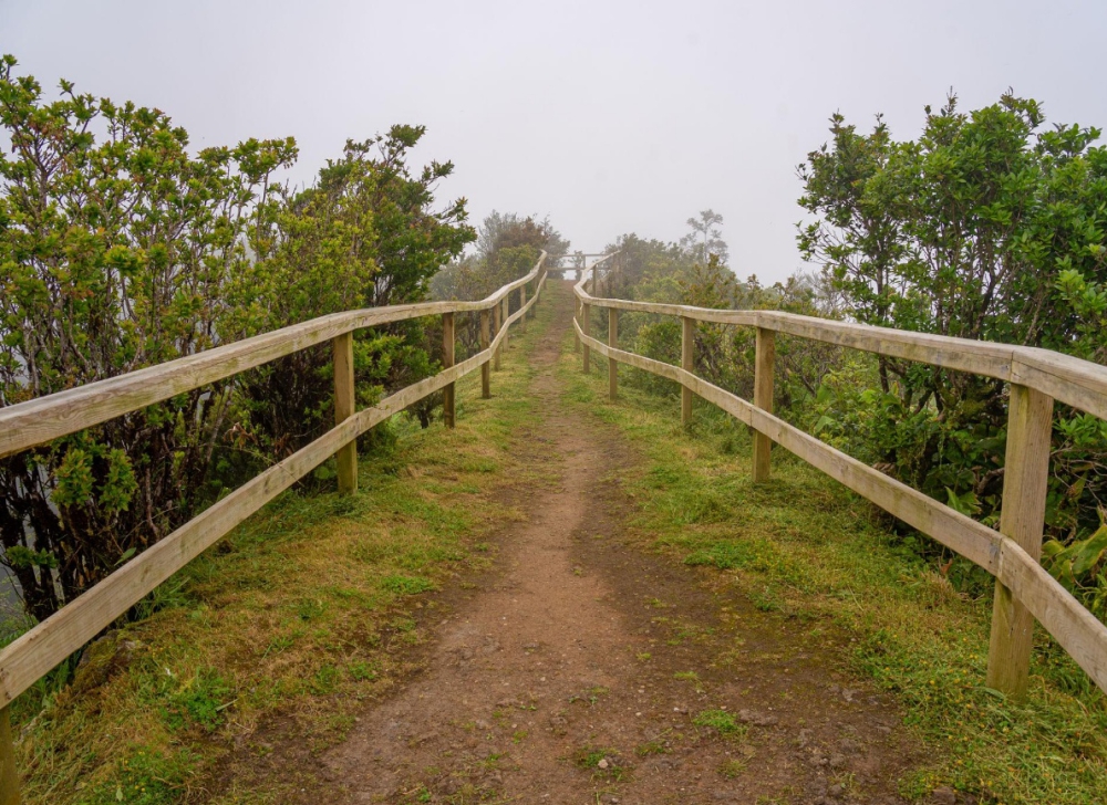 trail trail