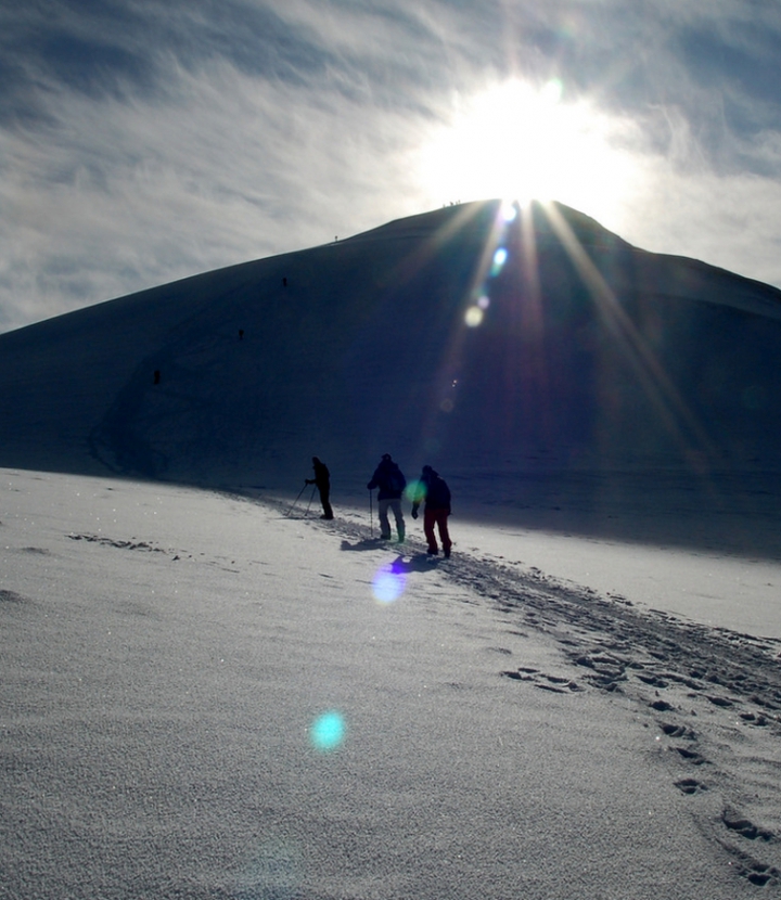Ararat