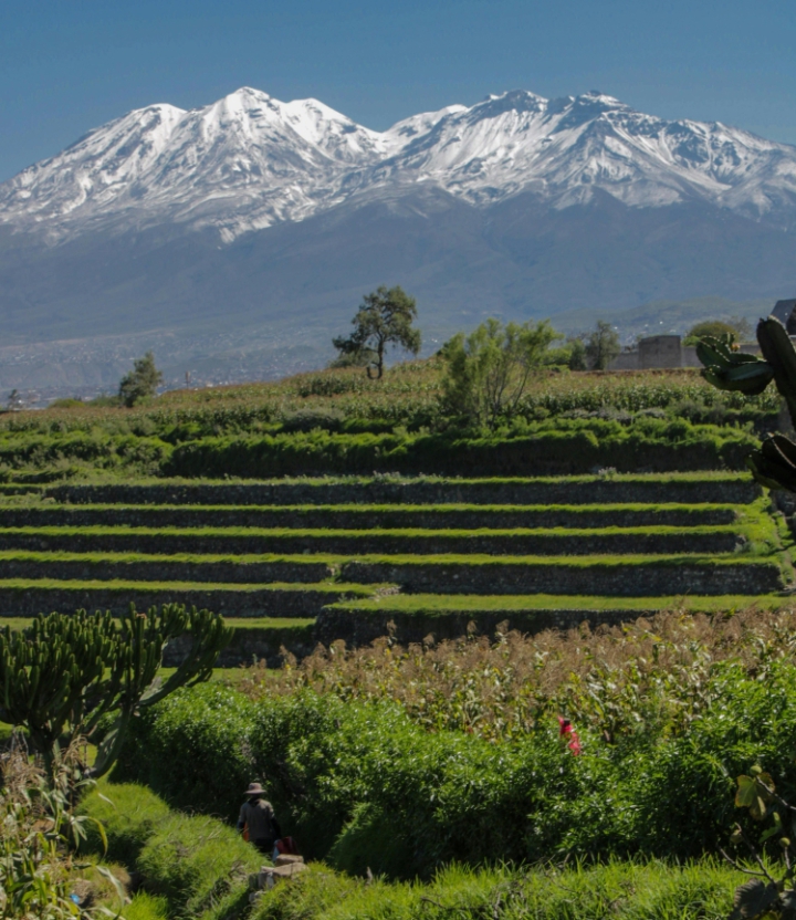 Machu_Picchu_i_Chachani
