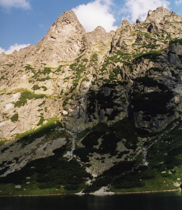 Młynarz