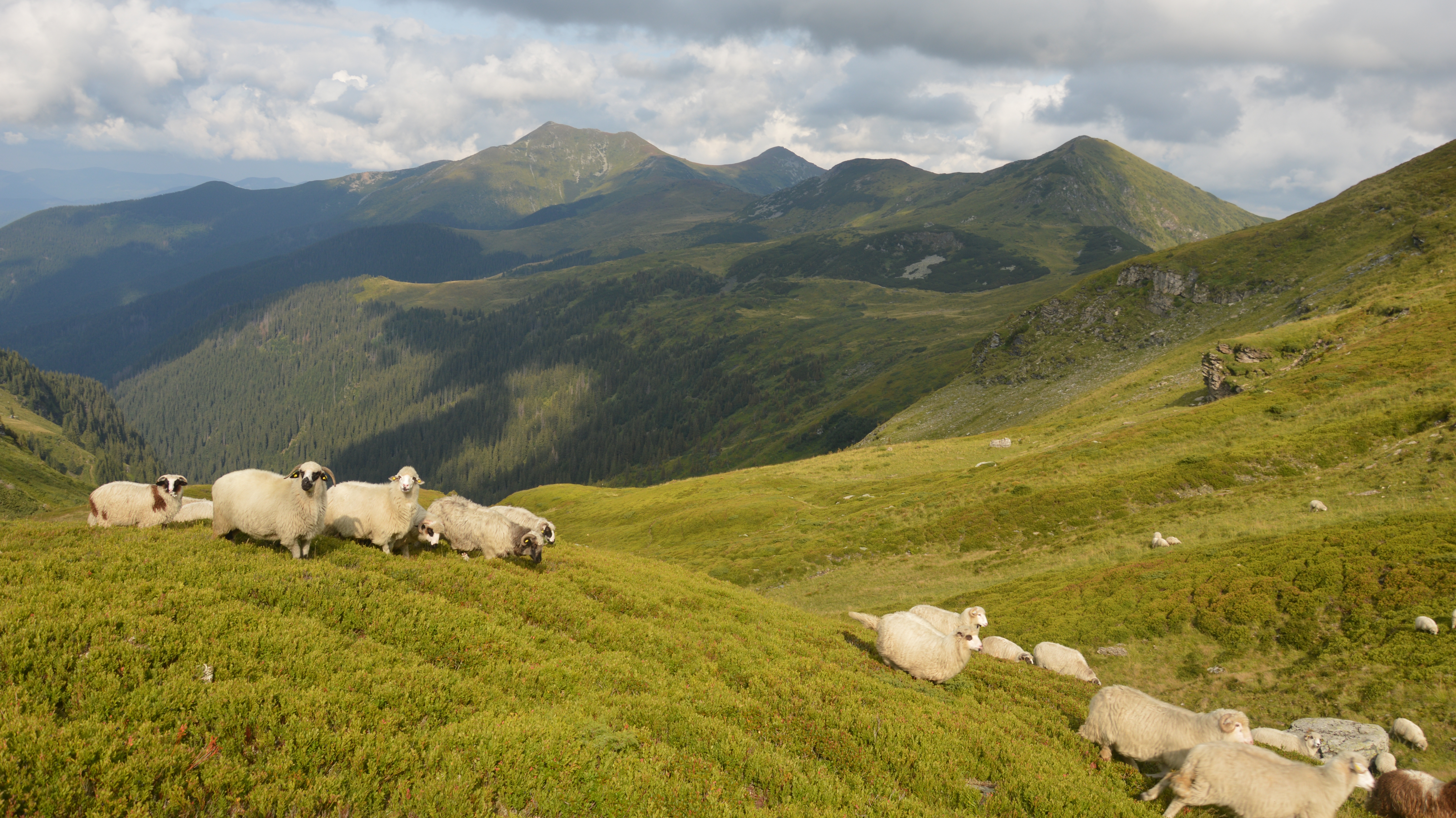 Trekking w Alpach Rodniańskich