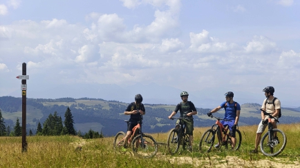 ebike